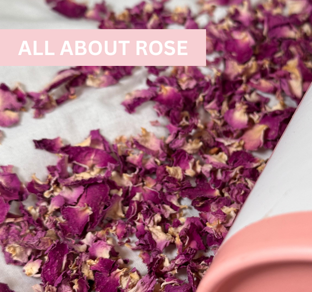 All About Rose Tea