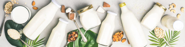 Alternative Milks: How Do They Stack Up?