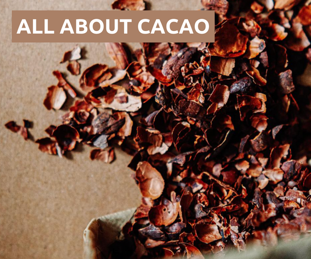 All About Cacao